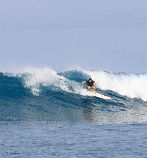 AQSS - Mahi Mahi Mini Mal Surfboard - 8'0 Botanical Surfboard AQSS   